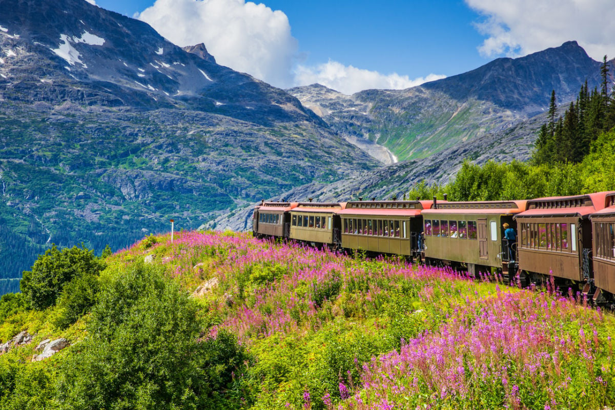 Take A Ride On The Wild Facet: These 4 Alaska Trains Explore Stunning Landscapes This Summer